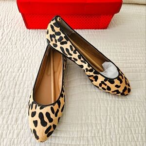 NIB Kelly & Katie Astor Calf Hair Ballet Flat